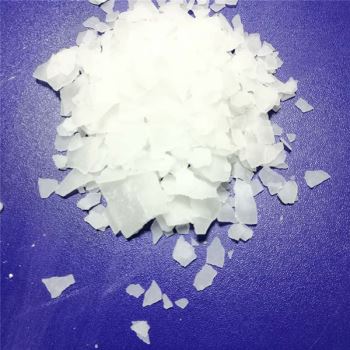 草莓在线观看APP