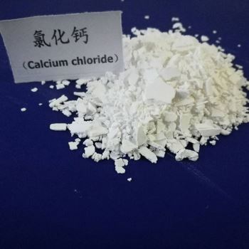 片狀草莓视频免费下载污