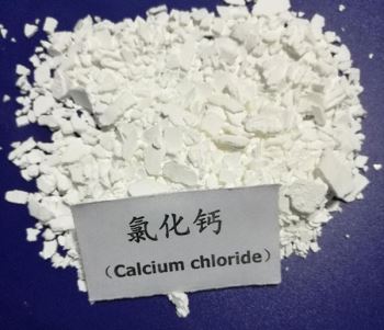 片狀草莓视频免费下载污
