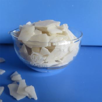 草莓在线观看APP