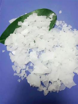 草莓在线观看APP