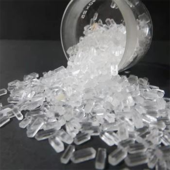 草莓APP在线播放