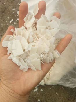 草莓在线观看APP