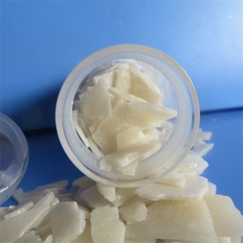 草莓在线观看APP