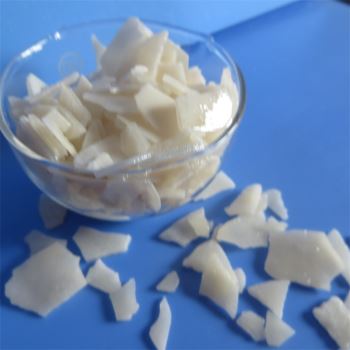 草莓在线观看APP