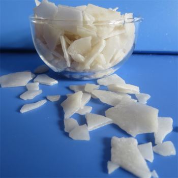 草莓在线观看APP