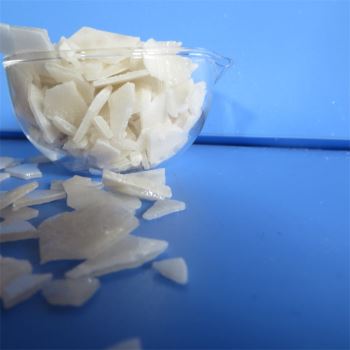 草莓在线观看APP