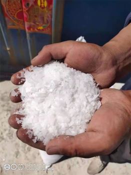 草莓在线观看APP