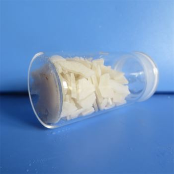 草莓在线观看APP