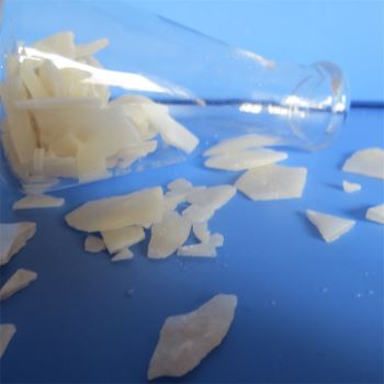 草莓在线观看APP